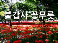 제398차영광 불갑산 9월15일 화요일