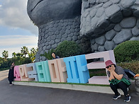 제주 여행 14