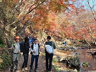 2025년 고창 선운산 정기..