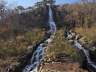 11월 정기산행 고창 선운산..