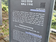 뱀사골 트래킹/지리산 천년..