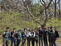 100대 명산 비슬산
