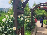 광명에서