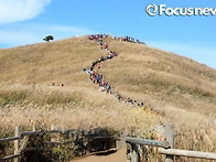 2025년11월16일.210차 ..