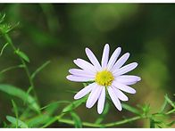 2025년10월19일. 209차..