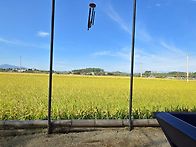 ＜넙치＞ 넷째 달