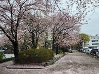 나와 함께, 하기(..