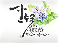 7월 수국 - 산수처럼 탐스..