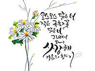 코스모스 닮은 너..