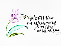 4월 호접란 기다림..