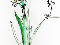 금잔옥대 수선화
