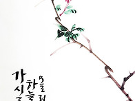 가시를 하늘로 올리는 시간