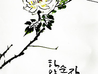 하양꽃 순수한 장미