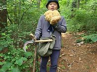 꽃송이 산행
