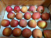 민아네사과(가정용 정과와..