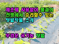 제초제 사용없이 풀과의 ..