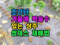 초간단 겨울에 먹을수 있는..