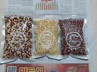 토종팝콘옥수수