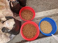 옥수수뻥 튀겼어요.