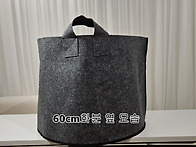 카펫트 화분판매