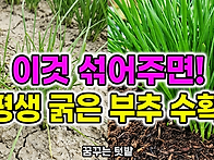 이것 섞어주면 평생 굵은 ..