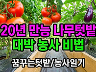 20년 사용가능한 만능 나..