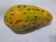 호박이 잡았어요