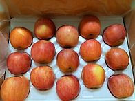 상큼달콤아삭한 민아네산사..