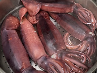 오징어 ~~~~~ 달큰하니 맛..