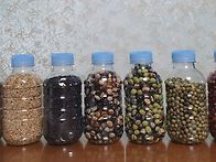 대농사라꾼 이라도 되는거..