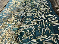 다들 방학중인데