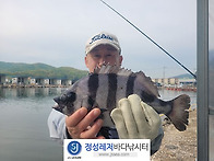 정성바다낚시터 5..