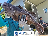 정성바다낚시터 5..