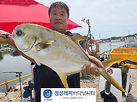 정성바다낚시터 8..