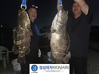 정성바다낚시터 7..