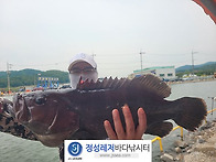정성바다낚시터 5..