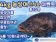 정성바다낚시터 "..