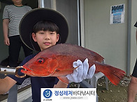 정성바다낚시터 9..