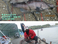 해솔바다낚시터 2..