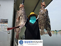 정성바다낚시터 7..
