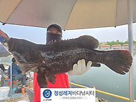 정성바다낚시터 5..