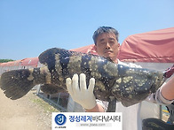 정성바다낚시터 5..