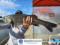 정성바다낚시터 1..