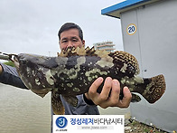 정성바다낚시터 7..