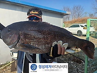 정성바다낚시터 4..