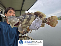 정성바다낚시터 9..