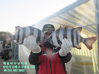 해솔바다낚시터 2..