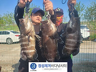 정성바다낚시터 5..