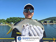 정성바다낚시터 5..