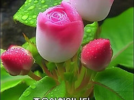 그때 그시절이야기